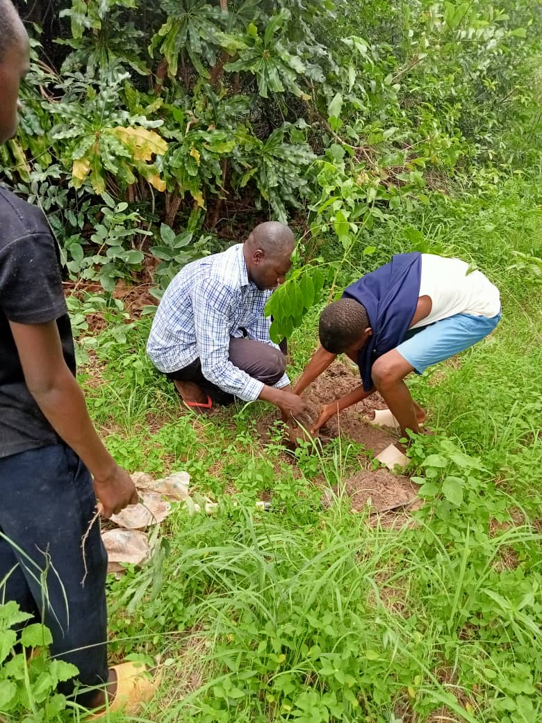 Tree Planting at Kanen